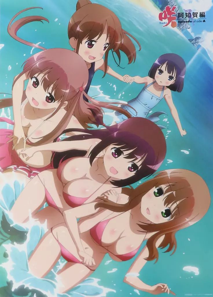 ポスター お風呂ポスター 集合 Blu-ray 咲-Saki-阿知賀編 episode of side-A アニメイト全巻 特典