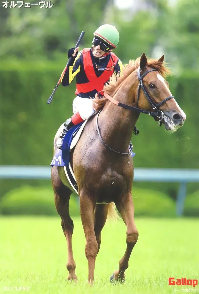 ポスター A 1ポスター オルフェーブル 2012宝塚記念 ターフの主役たち