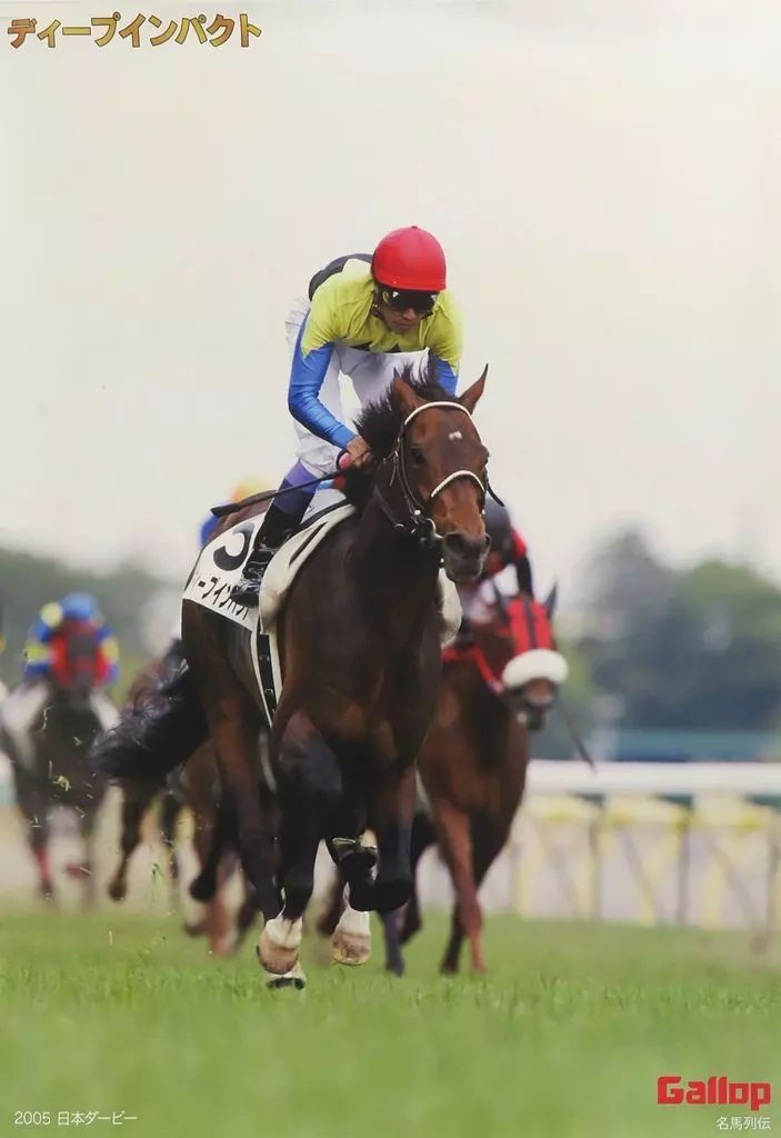ポスター A 1ポスター ディープインパクト 2005日本ダービー 名馬列伝