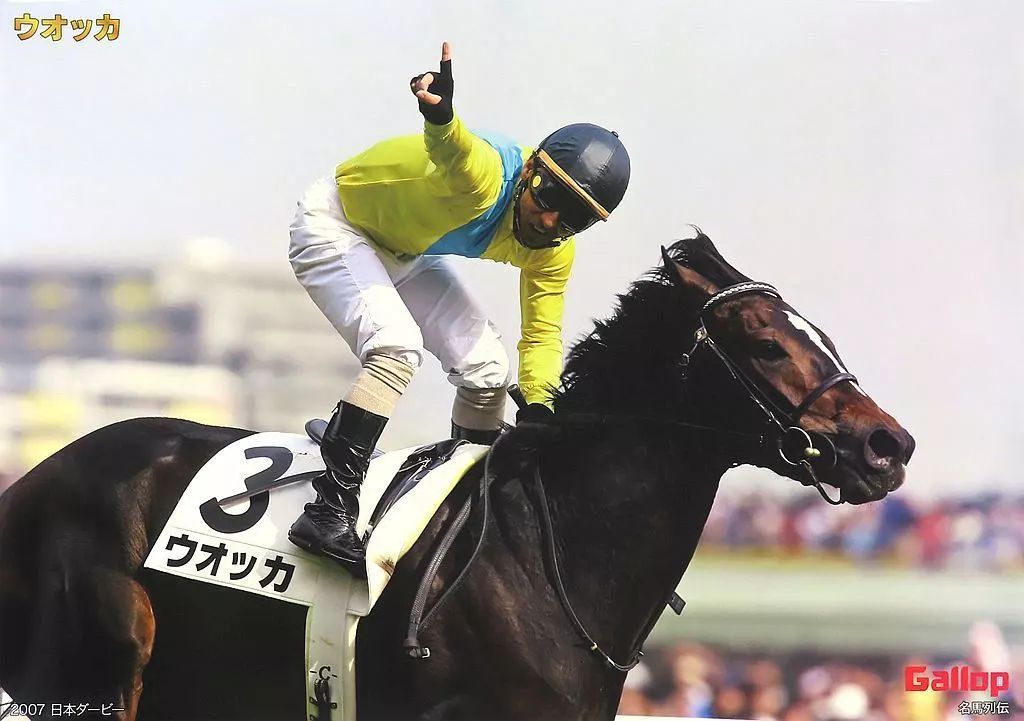 中古】ポスター A1ポスター ウォッカ(2007日本ダービー/名馬列伝