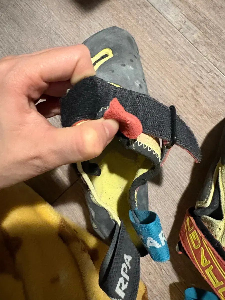 クライミングシューズ ドラゴ