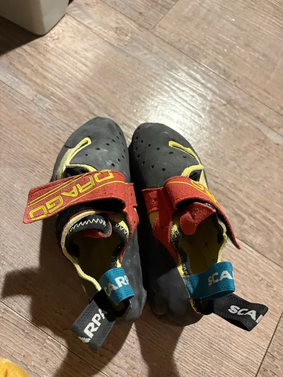 クライミングシューズ ドラゴ