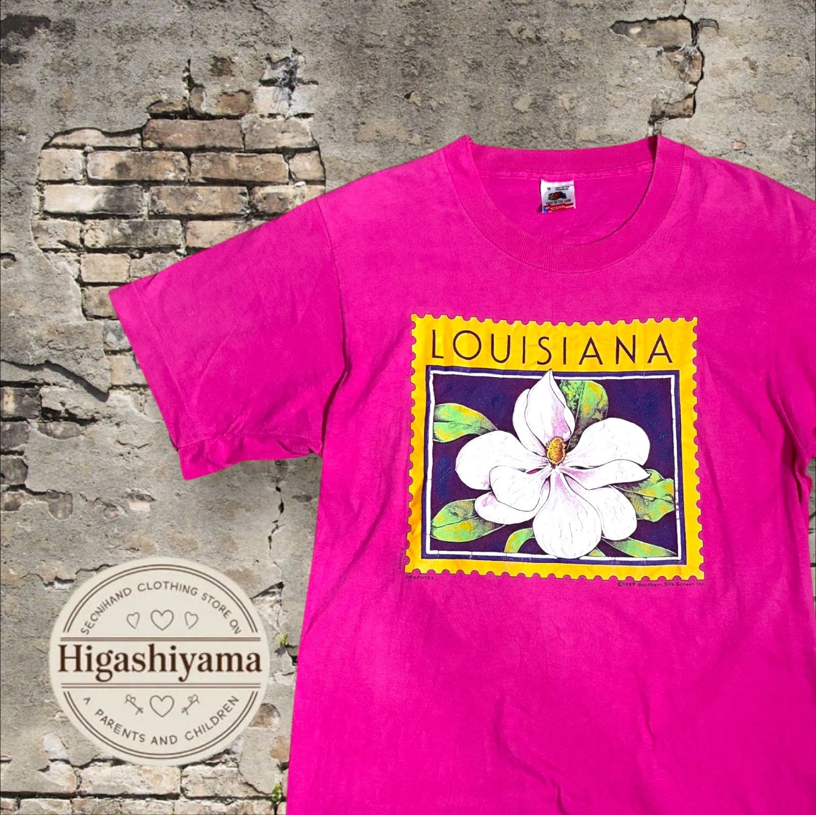 90s USA製】FRUIT OF THE LOOM シングルステッチ アート Tシャツ M