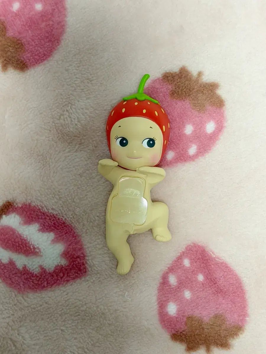 SONNY ANGEHarvest いちご ハイパー 日本直販 注文 開封のみ 2025年