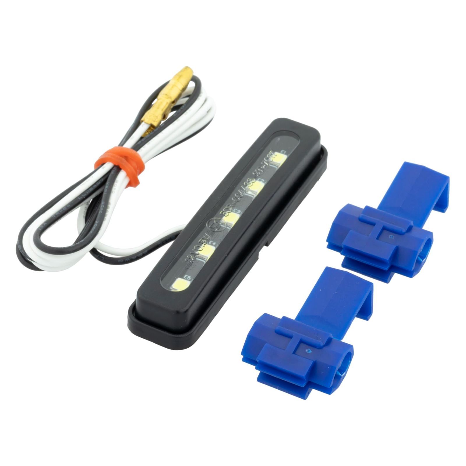 セット割有 発根済 現地球 パキポディウム グラキリス ウィンゾリー