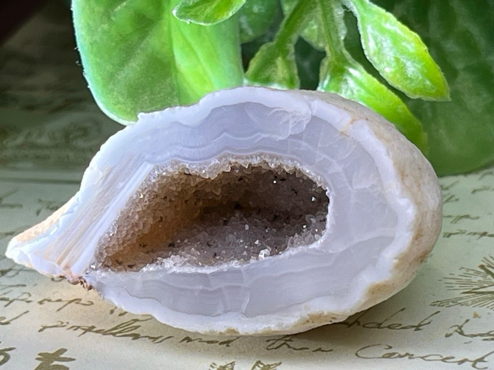 Y1142 gfc GHF-200 WH アウトレット Y1142 gfc GHF-200 WH アウトレット