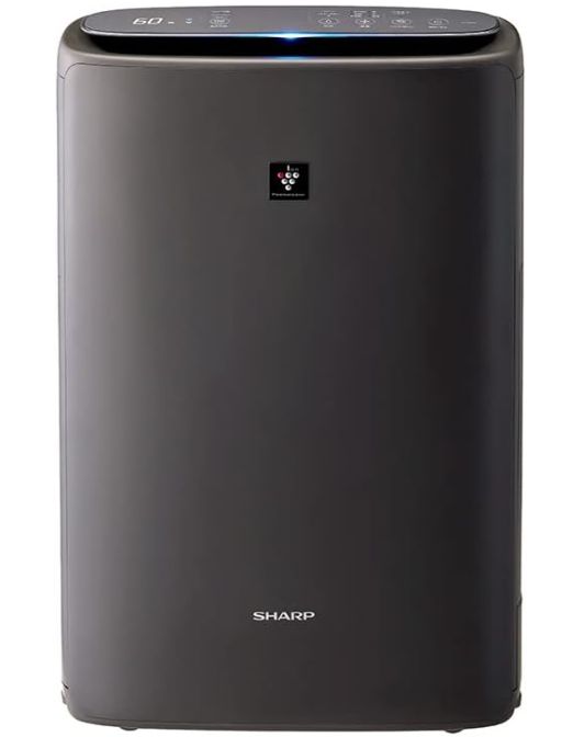 シャープ 加湿 空気清浄機 KI RS 50 H グレー プラズマクラスター 25000