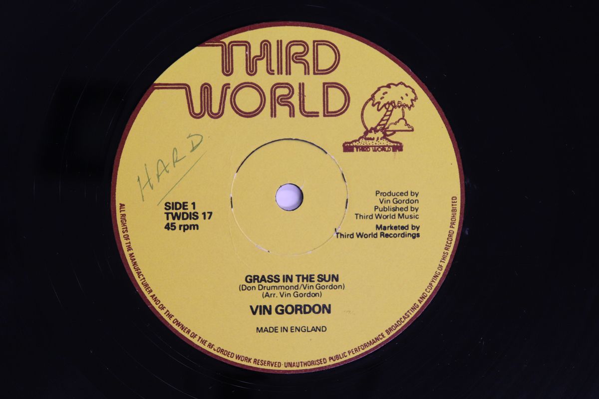 英12 Vin Gordon Grass In The Sun Split Second TWDIS 17 THIRD WORLD 00250