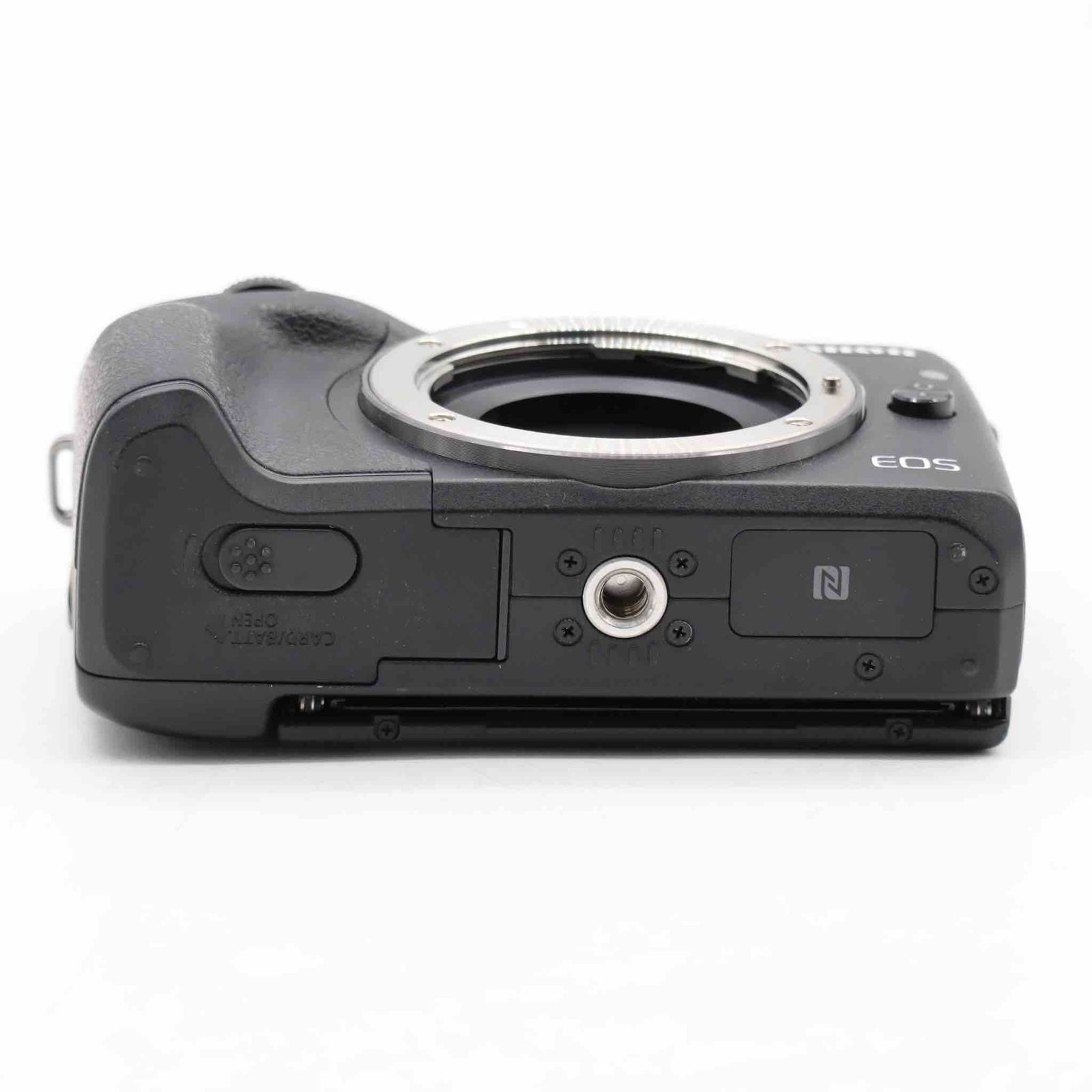 ボディ ブラック