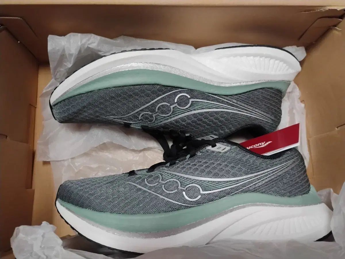 サッカニー エンドルフィン スピード 5 270