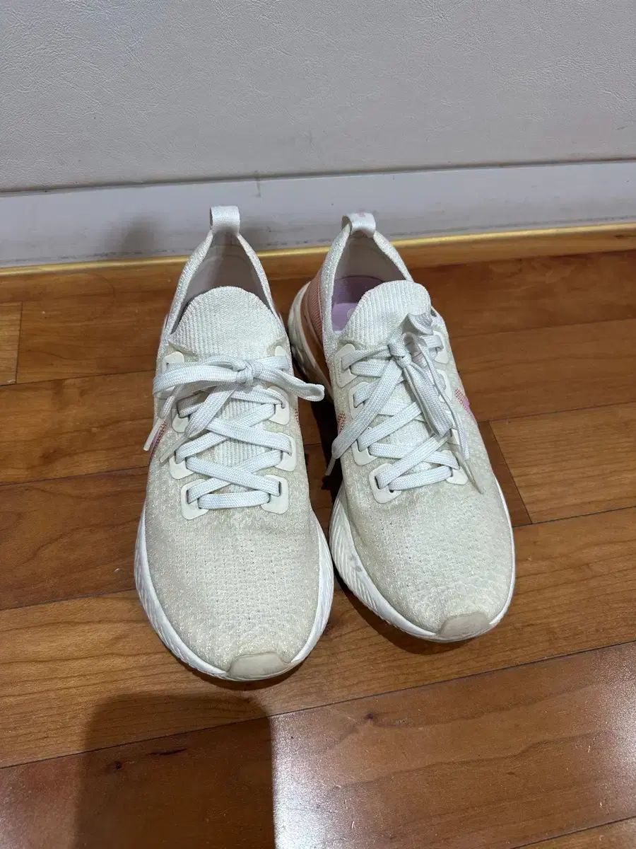 2024 JAWSジョーズ(サメ)のようにも見える透明感のあるきれいな瑪瑙