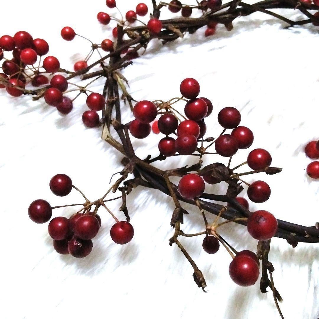 山帰来（サンキライ）リース☆自然素材☆直径約26cm☆赤い実