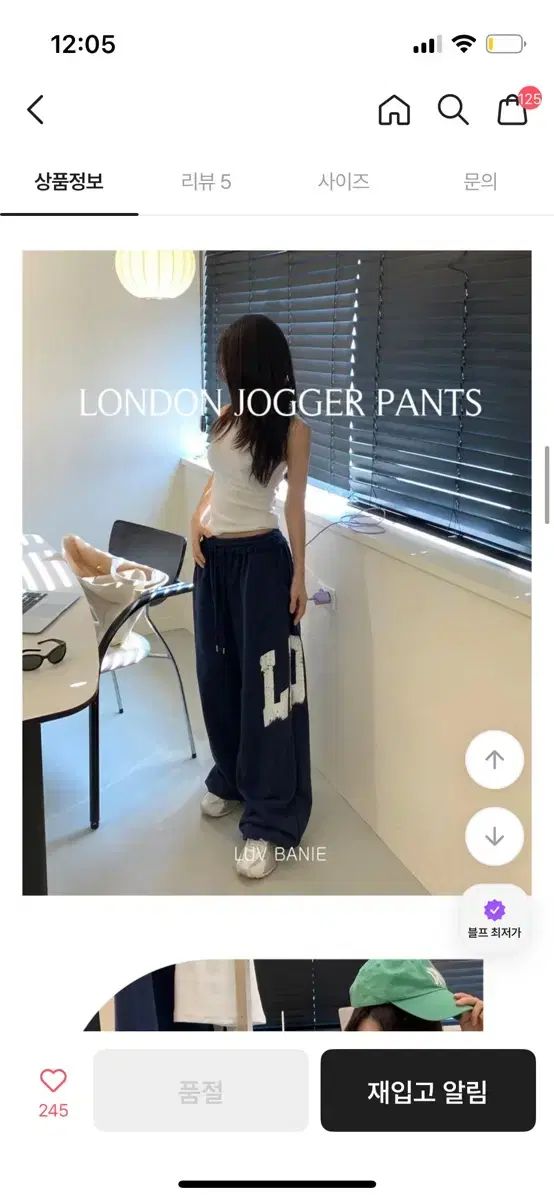 1/30スケールセトラ ダブルデッカーバス 高級モデル