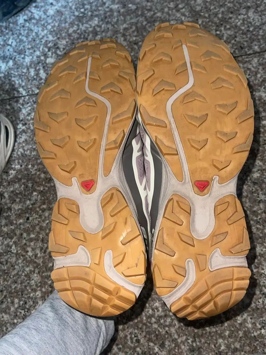 プラムキットン 270