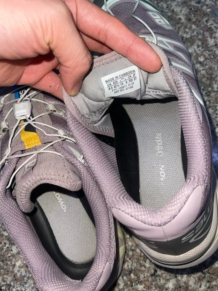 xt-6 プラムキットン