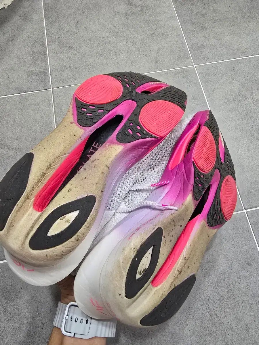 アルファフライ3