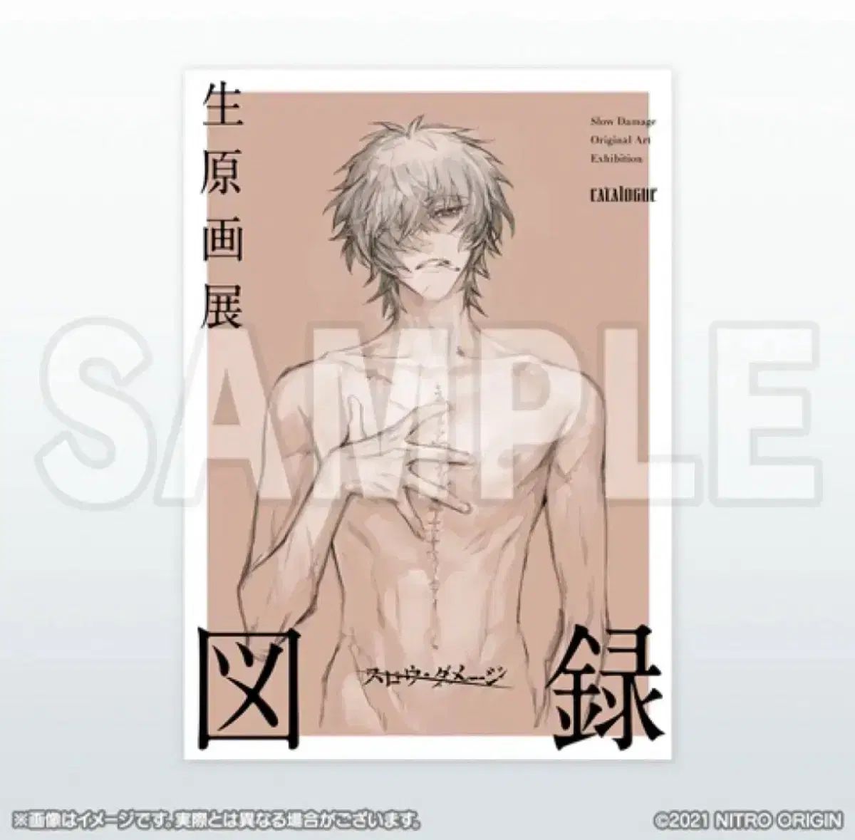 スローダメージ原画集ドゥルック