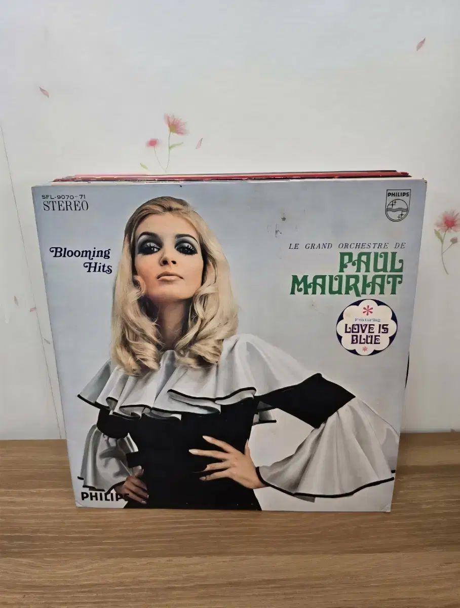 最終価格‼️アンダマンツマベニチョウ♂♀ 割引 標本☆アンダマン島南