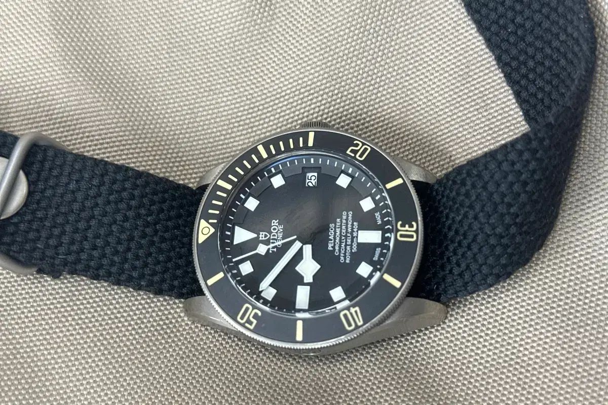 チューダー ぺラゴス - ベゼル変色 ZF made
