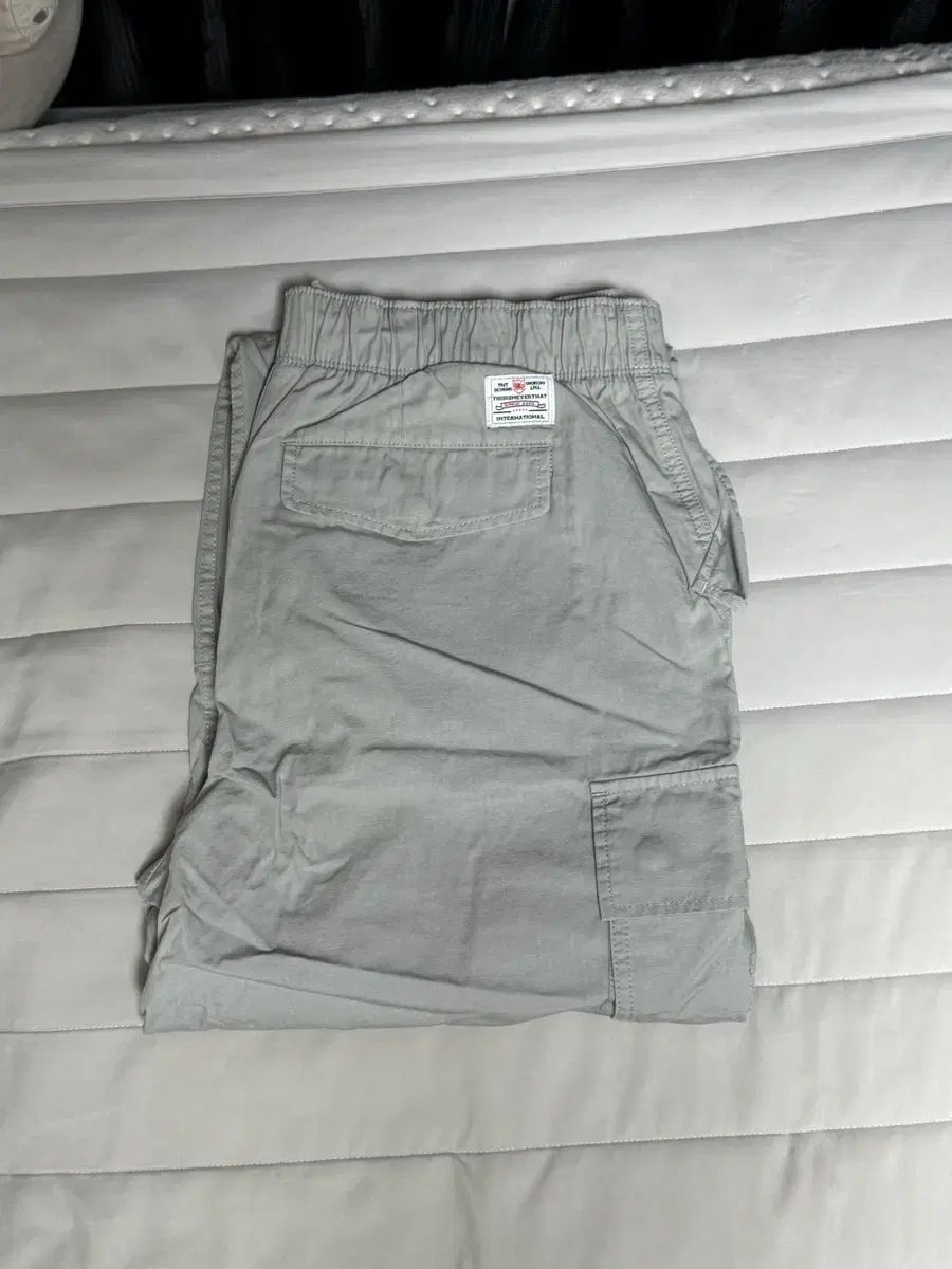 ディスイズネバーザット Cargo Pant Light Grey
