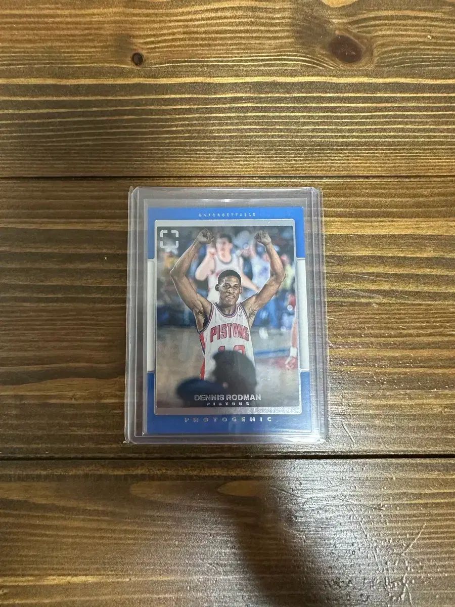 2021-22 Panini パニーニ フォトジェニック デニス ロードマン アンフォーゲタブル