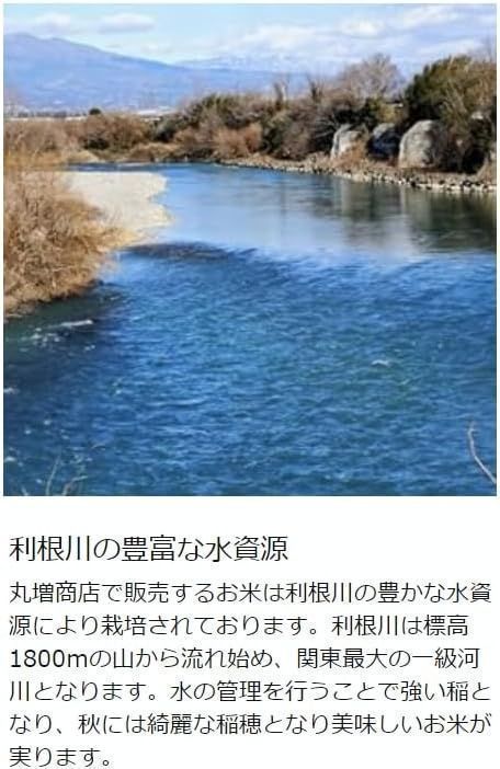 コシヒカリ 玄米 農家出品 利根川の水利用栽培 30kg 食品 コシヒカリ
