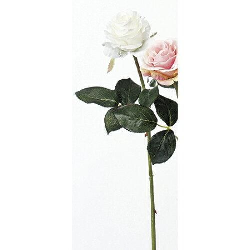 ローズ A 31828 001 入数 12