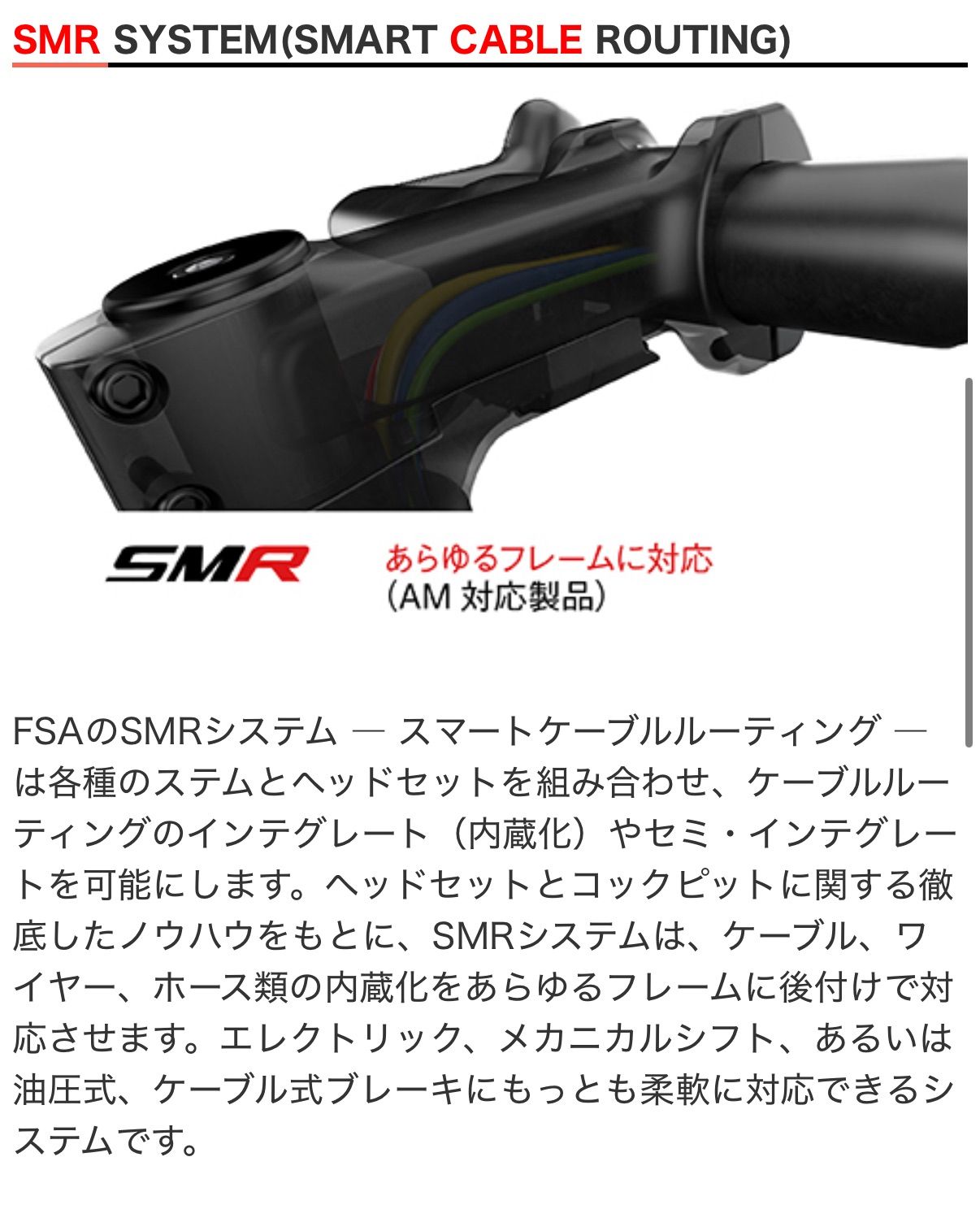 Vision NS SMR ステム アウトレット 100mm 新品 10cm