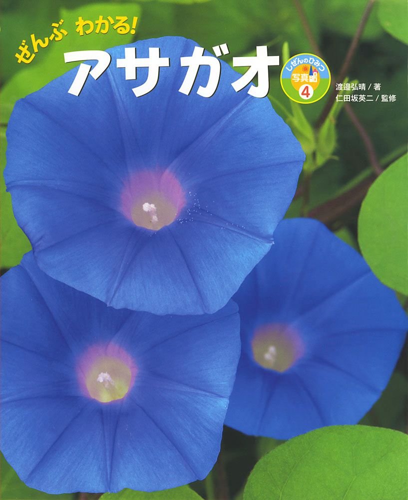 ぜんぶわかる！アサガオ/ポプラ社/渡邉弘晴（大型本）