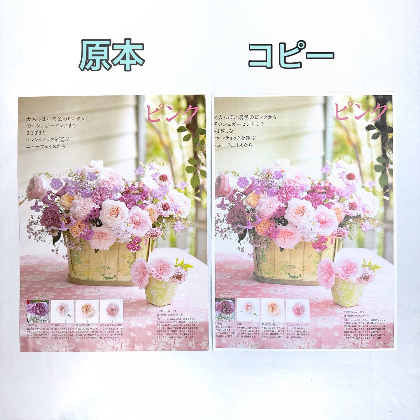 □印刷枚数少□brother DCP-J567N プリンター ブラザー □印刷枚数少