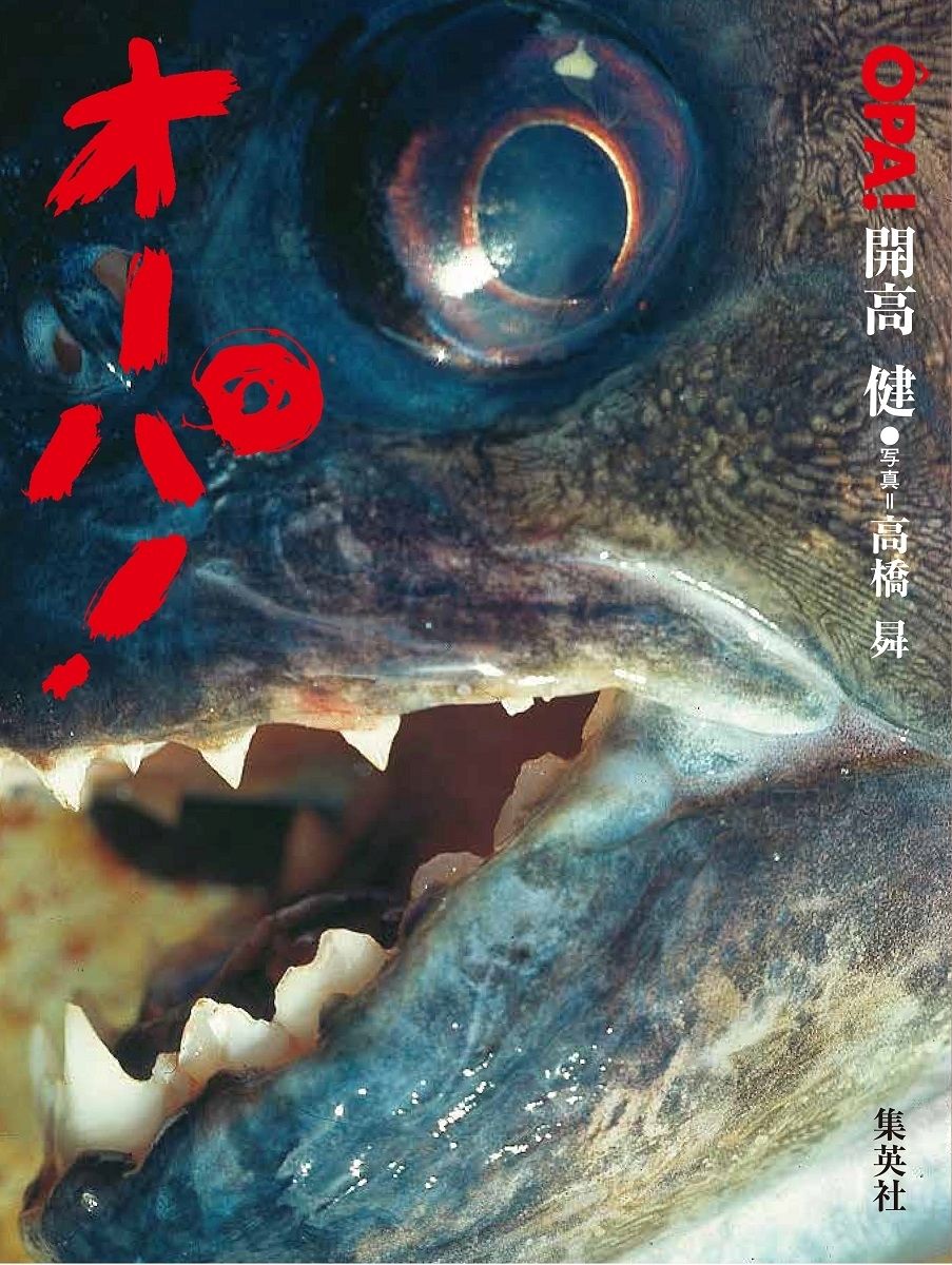  オーパ！ 完全復刻版/集英社/開高健（大型本） その他