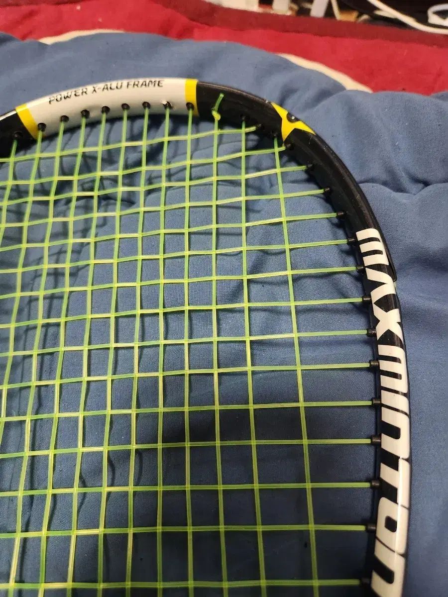 本体のみ』Tony Smith KPR-32 PRS Custom 24タイプ