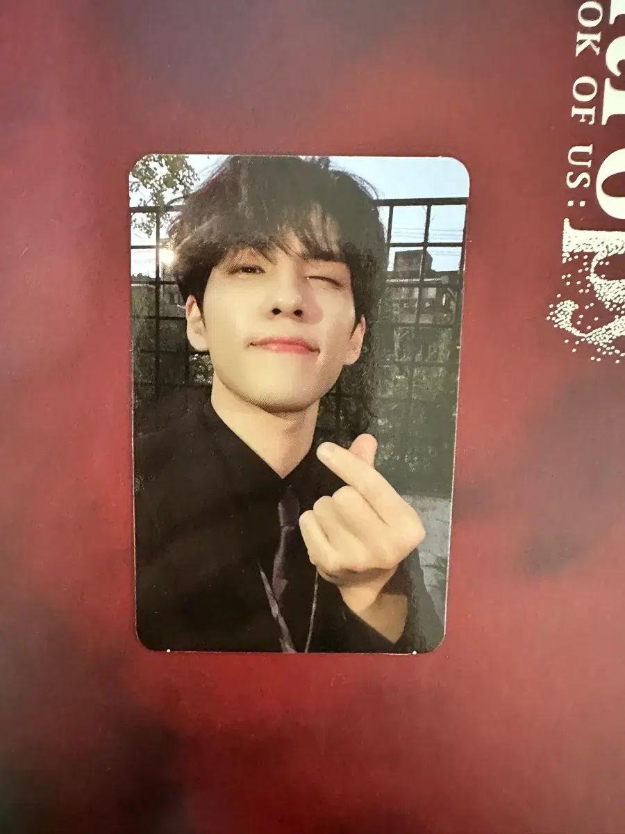 DAY 6 デイシックス Entropy アルバム ウォンピル WONPIL トレカ 含む