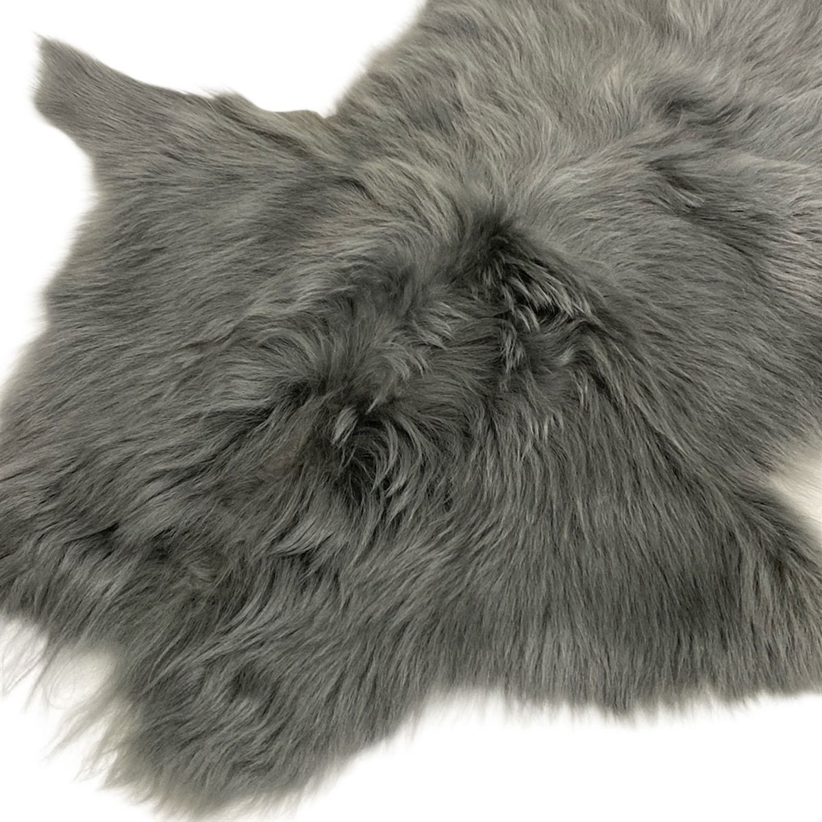 Donoghue カールドノヒュー