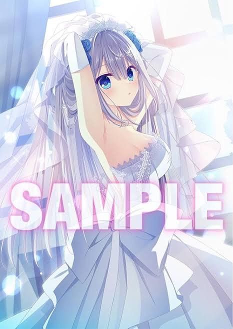 未使用】タペストリー 桜来瑞花 B2タペストリー 「PS4/Switchソフト 
