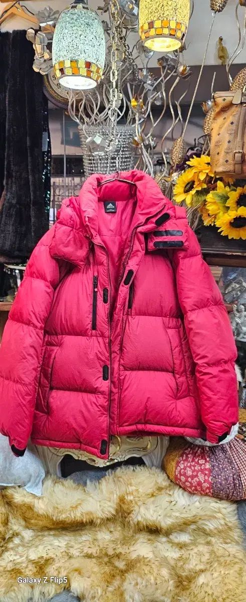 チランジア カウツキー カウツキー氏由来 (エアプランツ図鑑 表紙の