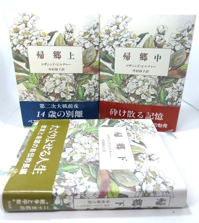 帰郷 上中下 3冊セット ロザムンド ピルチャー 著 中村妙子 訳 星雲社 日向房