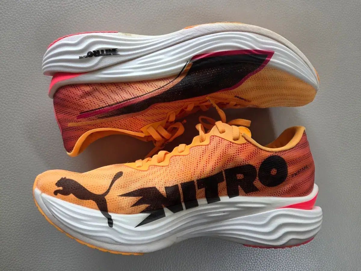 プーマ ディビエイト ニトロ3 280 ディナエル3 サンセットグロウ