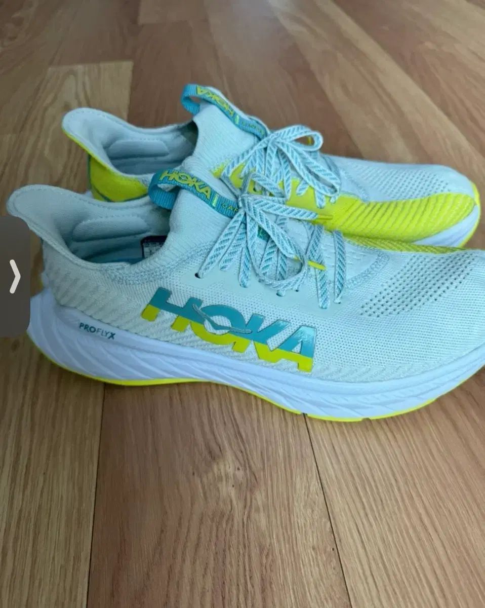 HOKA ONE プロフライ X 280 mm