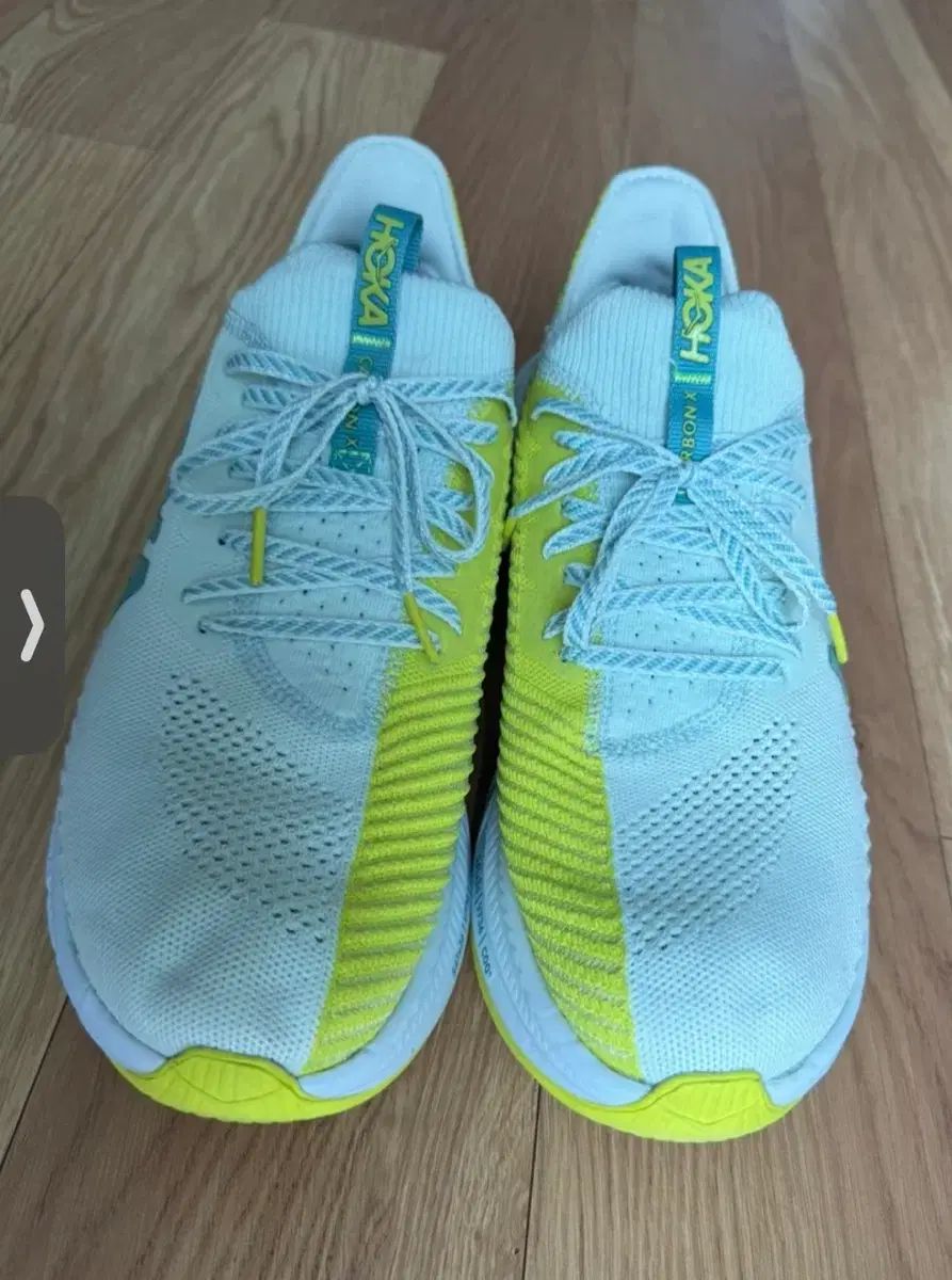 HOKA ONE プロフライ X 280 mm