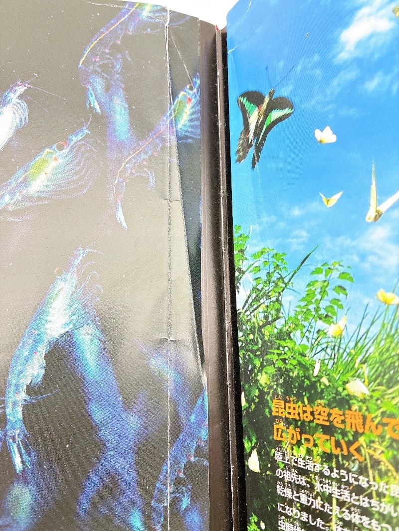 22冊】図鑑まとめ売り 小学館の図鑑 NEO プレNEO はっけんずかん