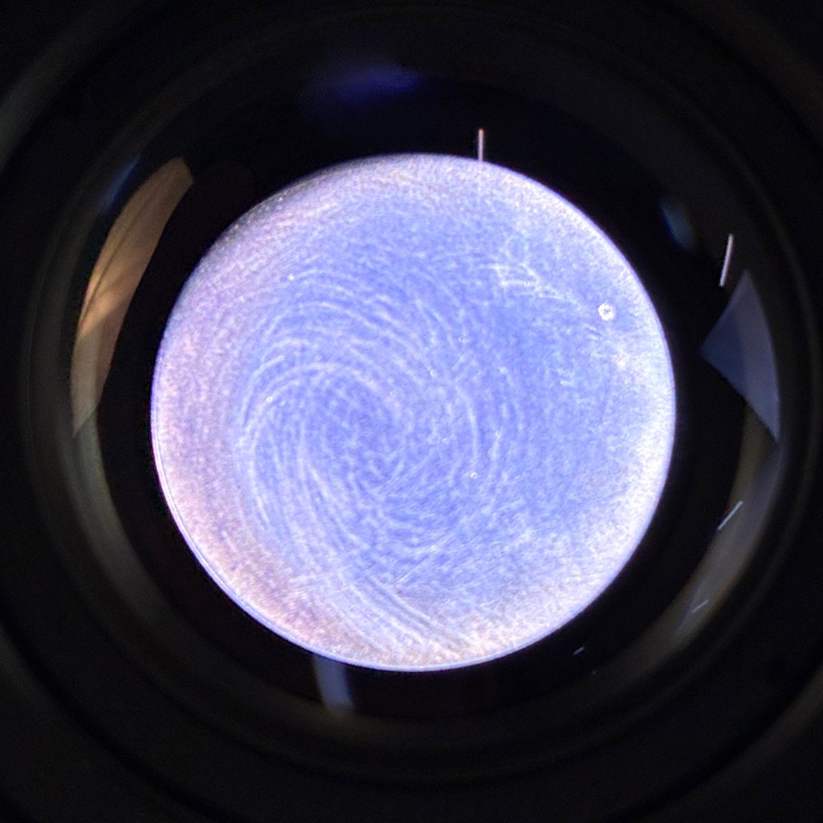 Mマウント 後期