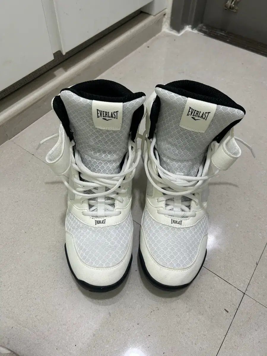 エバーラスト エリート2 ボクシング シューズ 270