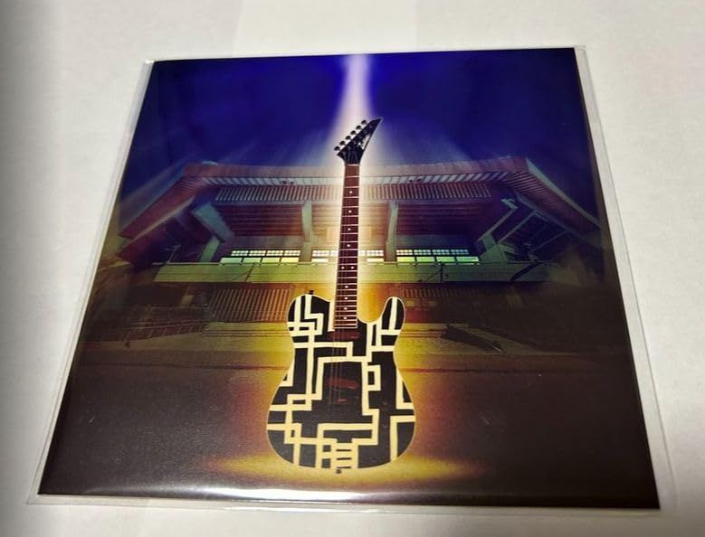 布袋寅泰 2024 LIVE IN BUDOKAN ～The HOTEI～ グッズ ピック