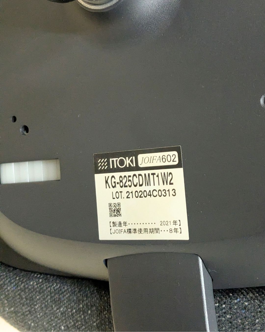 Bランク vertebra03