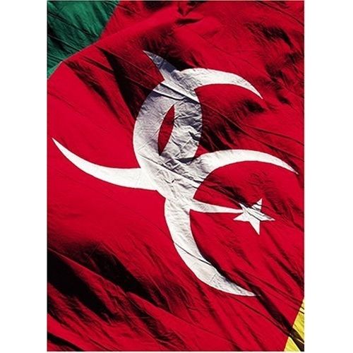 DVD JOHNNY LOUIS - CHAR REAL ROCK