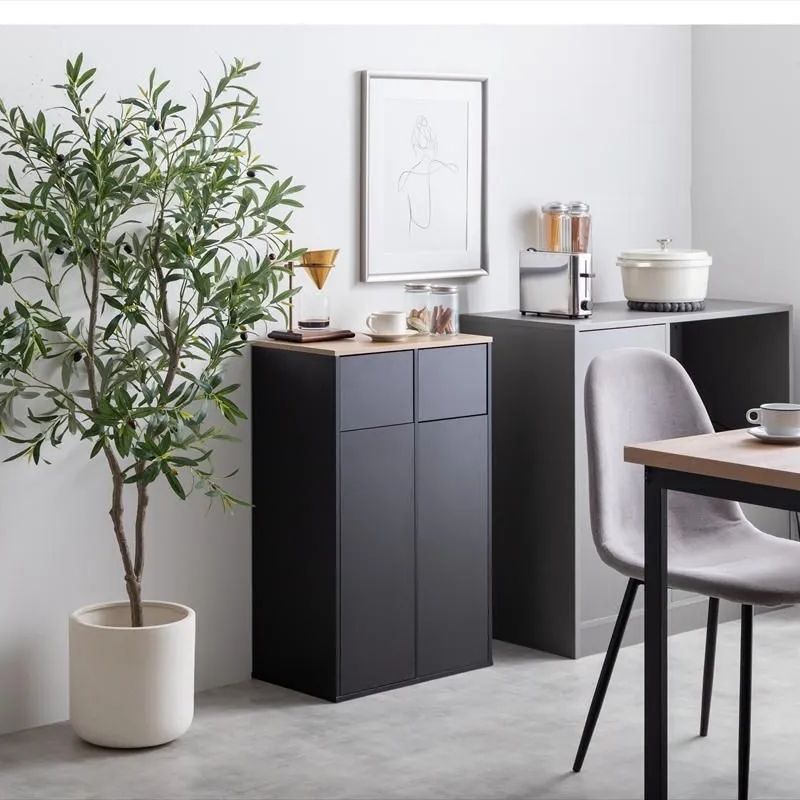 ２連 ごみ箱 幅50 cm ゴミ箱 ダストボックス ペール キッチンペール ふた付ゴミ箱 蓋付