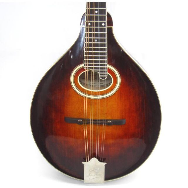 A 4 amp GUITARS マンドリン UD 4541