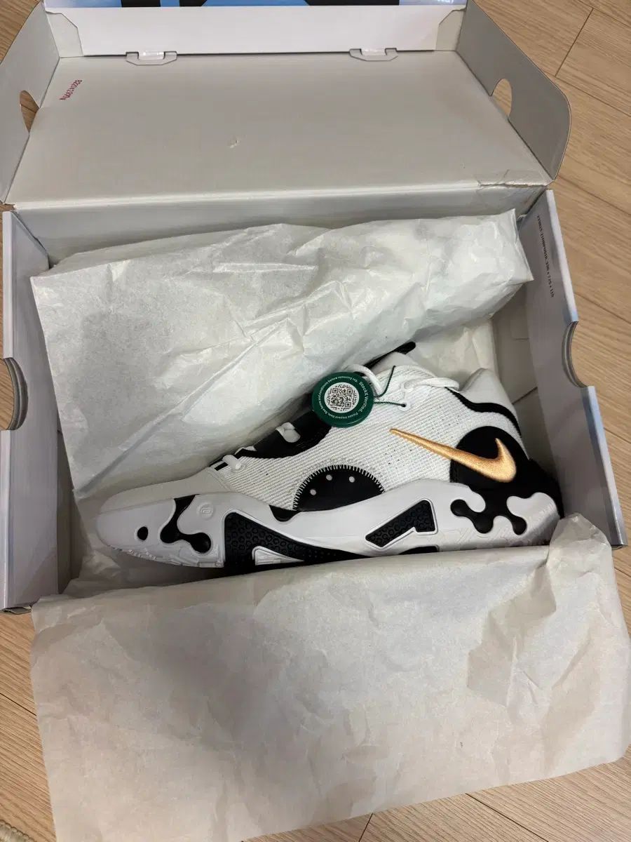 ナイキ PG 6 バスケシューズ