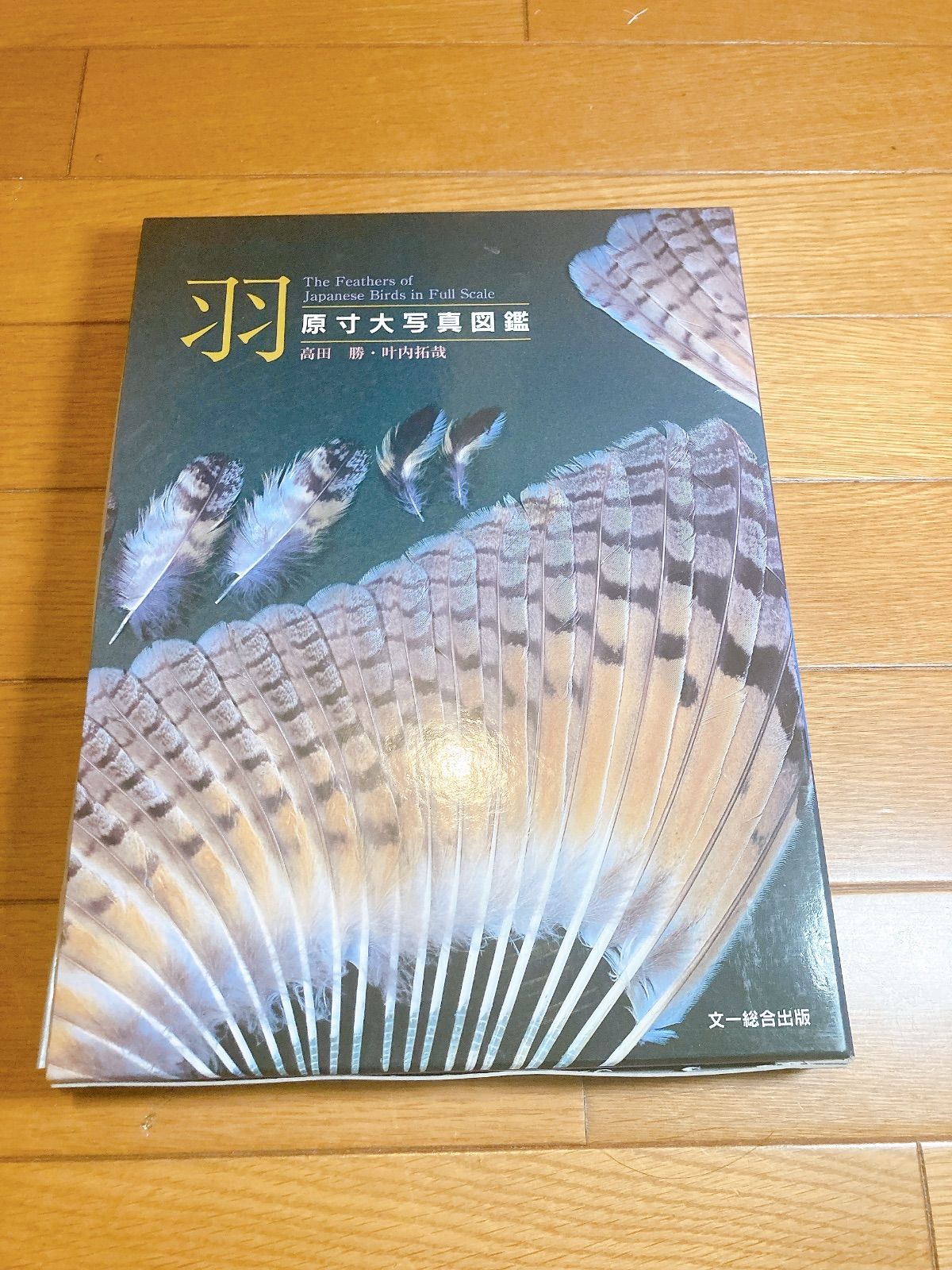 羽 原寸大写真図鑑 叶内 拓哉 高田 勝